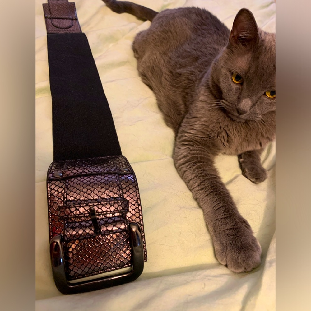 Rate and unique cool stretchy belt from Bebe size M-L . Must have for any outfit